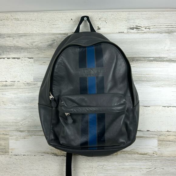 Coach charles gray and blue striped leather backpack - Picture 1 of 10